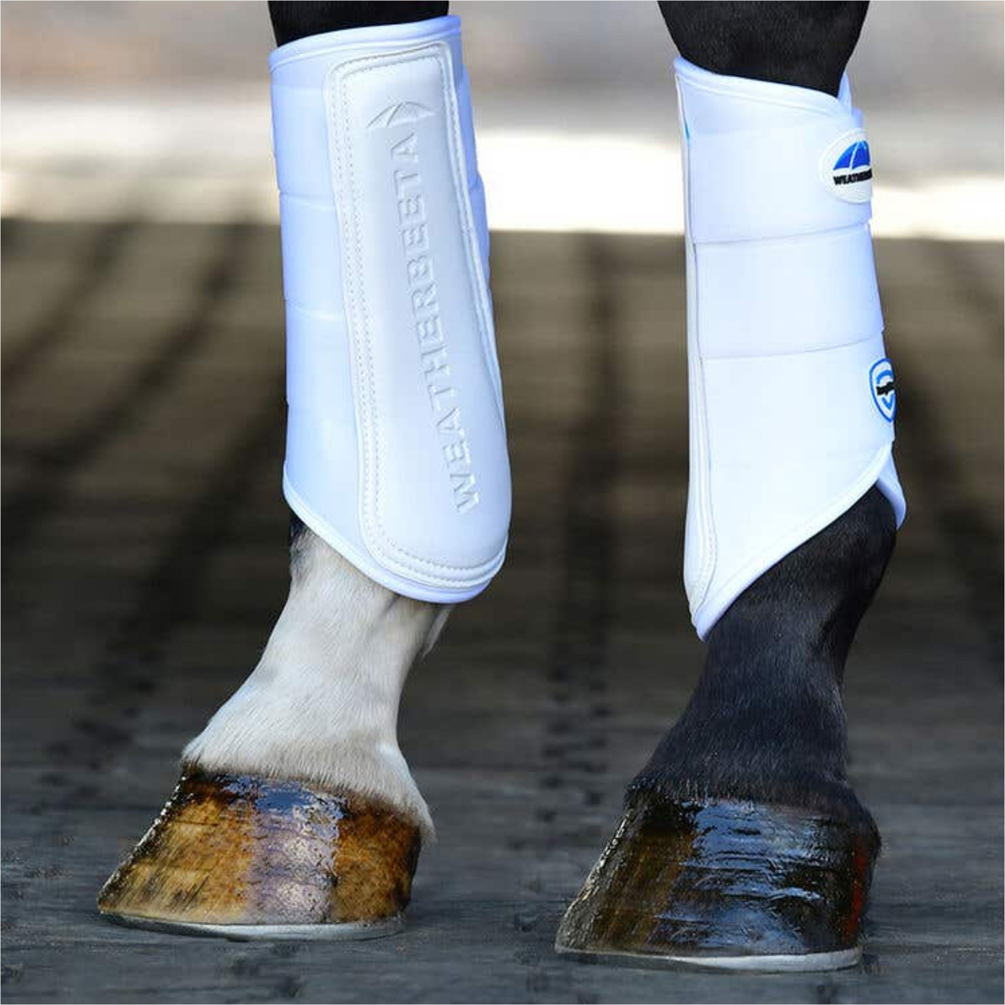 2025 Weatherbeeta Tough-Tec Prime Brushing Boots 1027503 - White / White